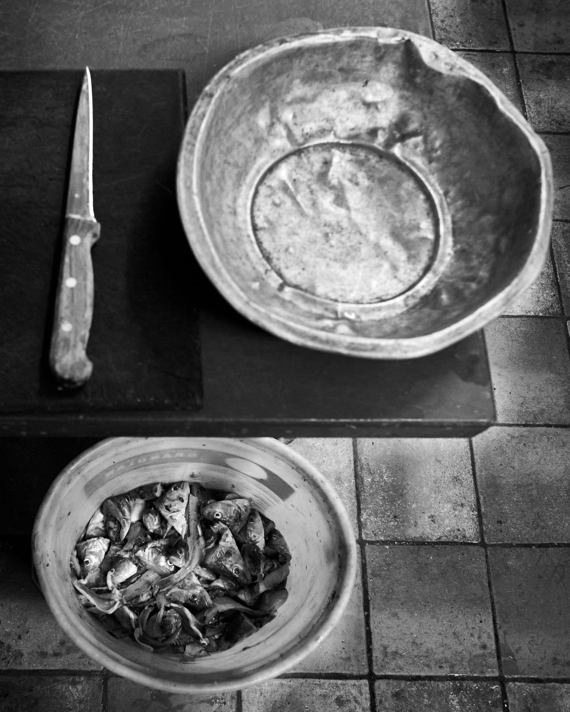 Zwei Schüsseln mit frischem Fang neben einem Filiermesser