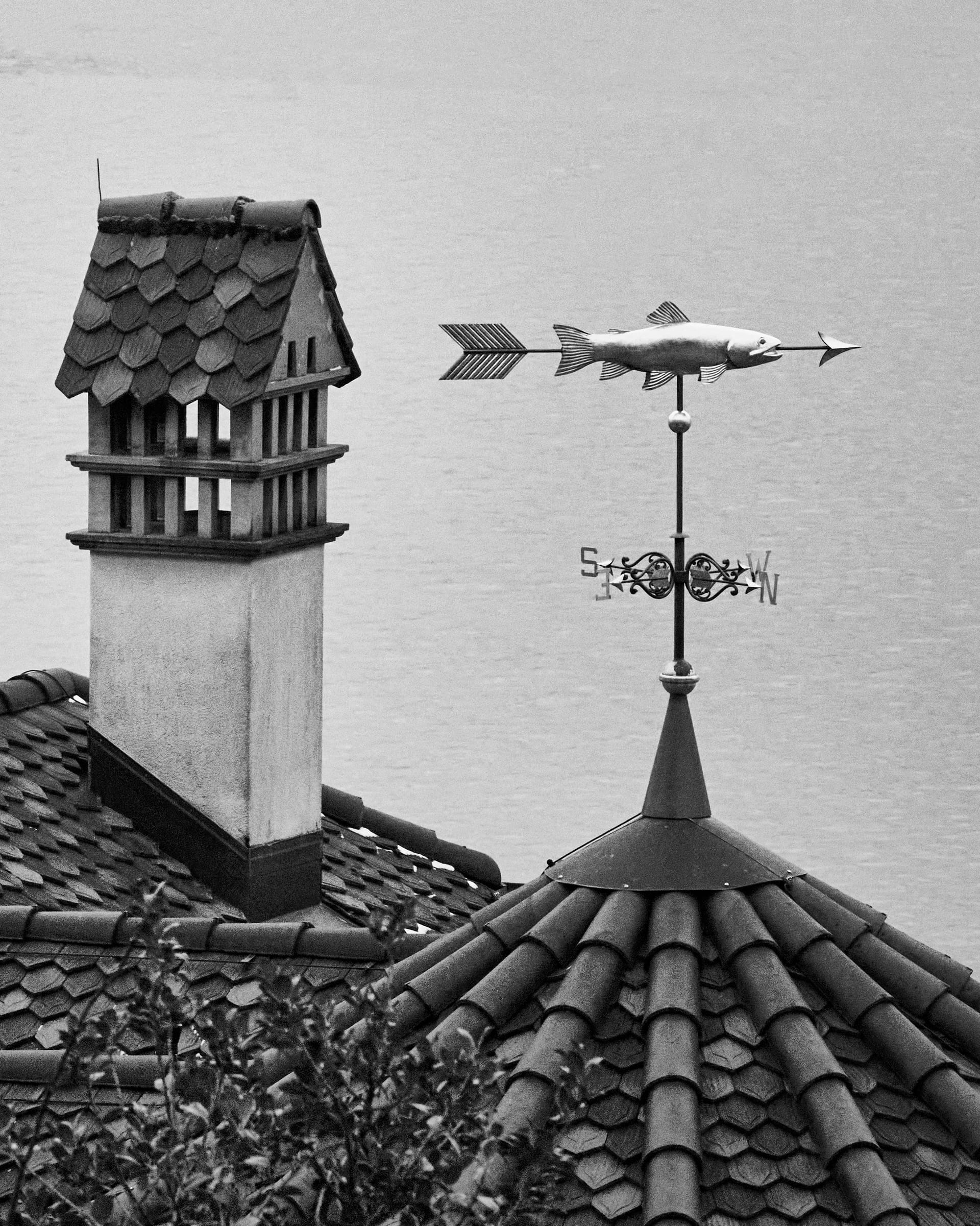 Wetterfahne in Fischform über den Dächern am Zugersee